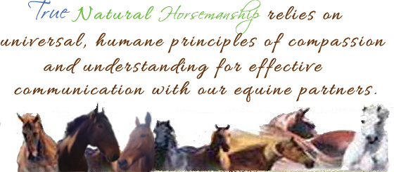Horses natural