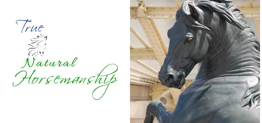 natural horsemanship